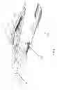 Fig. 14 - Circuit integrated suspension and method of manufacture thereof