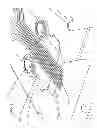 Fig. 17 - Circuit integrated suspension and method of manufacture thereof