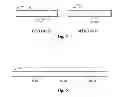 Fig. 06 - High efficiency LED lighting system with thermal diffusion