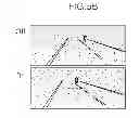 Fig. 08 - SPOT LAMP UNIT, HEADLIGHT SYSTEM WITH SPOT LAMP UNIT, AND FRONT LIGHTING METHOD USING THE SAME