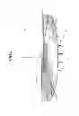 Fig. 06 - Vehicle lamp
