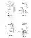 Fig. 08 - Multi-functional projector lamp shield and multi-functional projector embodying such a shield