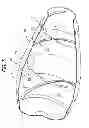 Fig. 04 - Concrete mixing drum fin structure