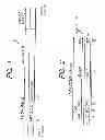 Fig. 02 - Information recording medium, method and apparatus for recording and reproducing information