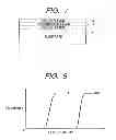 Fig. 06 - Information recording medium, method and apparatus for recording and reproducing information