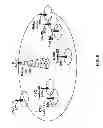 Fig. 07 - Special subframe allocation in heterogeneous network