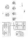 Fig. 02 - Addressing the large flow problem for equal cost multi-path in the datacenter