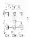 Fig. 04 - Method and apparatus for enabling multimedia synchronization