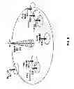 Fig. 07 - Efficient special subframe allocation