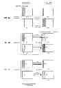 Fig. 05 - Radio communication system for optimal CFI control in a cross-carrier scheduling environment