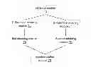 Fig. 01 - Synchronization preamble transmission method, synchronization method, device and system