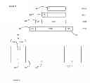 Fig. 06 - Method and apparatus for forming and processing data units
