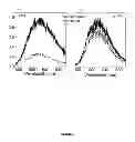 Fig. 06 - CONTINUOUS WAVE ORGANIC SEMICONDUCTOR LASERS BY TRIPLET MANAGERS