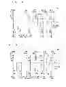Fig. 06 - Shift register circuit