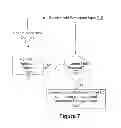 Fig. 08 - Moderation control method for participants in a heterogeneous conference call