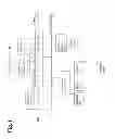 Fig. 02 - SECURE TRANSPORT OF DOMAIN-SPECIFIC CRYPTOGRAPHIC STRUCTURES OVER GENERAL PURPOSE APPLICATION PROGRAM INTERFACES
