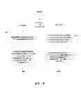 Fig. 16 - Marker identification and processing in X-ray images
