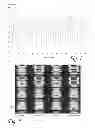 Fig. 07 - Intrinsic physical layer authentication of integrated circuits
