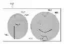 Fig. 01 - Image Recomposition From Face Detection And Facial Features