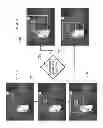 Fig. 10 - Image Recomposition From Face Detection And Facial Features