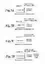 Fig. 06 - RECORDING MEDIUM AND APPARATUS FOR PROTECTING COPYRIGHTED DIGITAL DATA