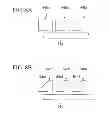 Fig. 09 - Toner transporting device and image forming apparatus including toner transporting device