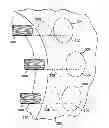 Fig. 01 - Wind or tidal turbine blade having an attachment