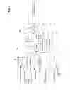 Fig. 03 - Exhaust gas purification system for internal combustion engine