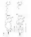 Fig. 04 - CONTRAST AGENTS