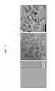 Fig. 06 - CONTRAST AGENTS