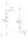 Fig. 14 - CONTRAST AGENTS