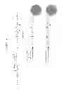 Fig. 19 - CONTRAST AGENTS