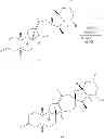 Fig. 45 - METHODS OF USE FOR CYCLOPAMINE ANALOGS