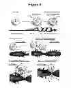 Fig. 04 - Methods and compositions for enhancing stem cell mobilization