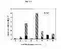 Fig. 04 - Methods for collecting and using placenta cord blood stem cells