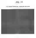 Fig. 12 - Chondrocyte therapeutic delivery system