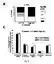 Fig. 07 - METHOD FOR DIAGNOSING RISK OF TYPE 1 DIABETES AND FOR PREVENTING ONSET OF TYPE 1 DIABETES