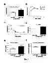 Fig. 09 - METHOD FOR DIAGNOSING RISK OF TYPE 1 DIABETES AND FOR PREVENTING ONSET OF TYPE 1 DIABETES
