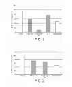 Fig. 02 - Use of chicoric acid and lactic bacterium in food supplement for regulating skin pigmentation