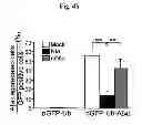 Fig. 11 - Amyloid-beta clearance