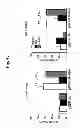 Fig. 12 - Amyloid-beta clearance