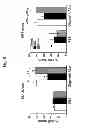 Fig. 13 - Amyloid-beta clearance