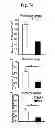 Fig. 20 - Amyloid-beta clearance