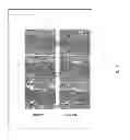 Fig. 02 - Wound healing peptides and methods of use thereof