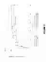 Fig. 08 - ANTI-GITR ANTIBODIES