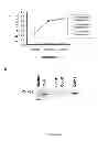 Fig. 07 - Immunotherapy and diagnosis of mucormycosis using CotH