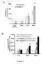 Fig. 09 - Immunotherapy and diagnosis of mucormycosis using CotH