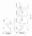 Fig. 02 - OPTIMIZED DEGENERATIVE MUSCLE DISEASE DIAGNOSTICS AND TREATMENTS
