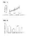 Fig. 02 - Peptide for reducing the phosphate requirement and excretion from farm animals