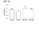 Fig. 03 - Peptide for reducing the phosphate requirement and excretion from farm animals